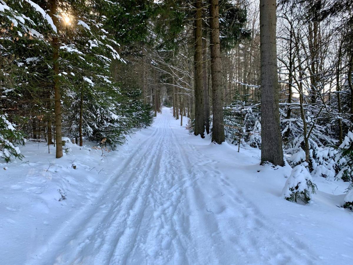 Altenberg Haus Donnerberg Rehefeld 아파트 외부 사진