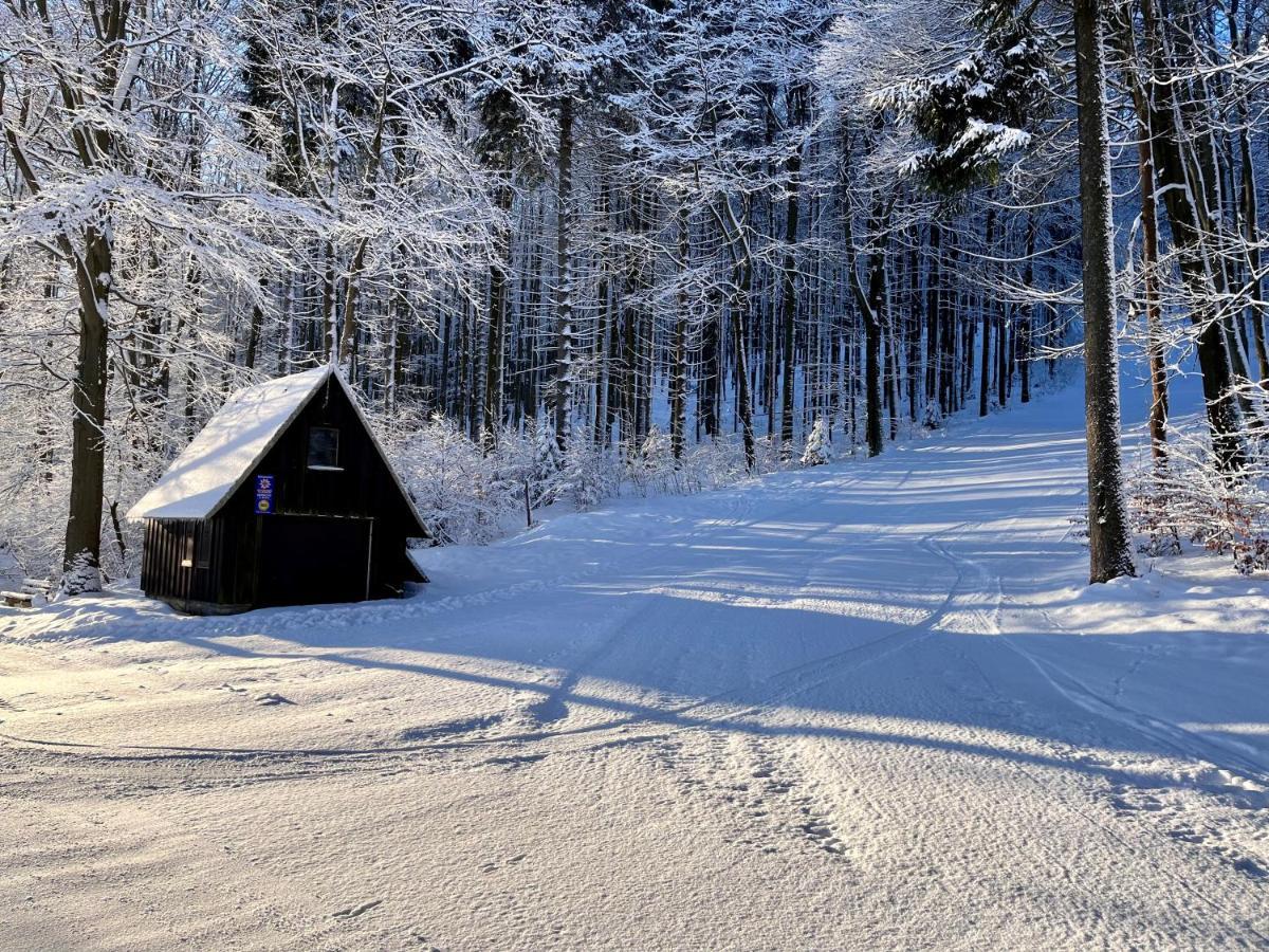 Altenberg Haus Donnerberg Rehefeld 아파트 외부 사진