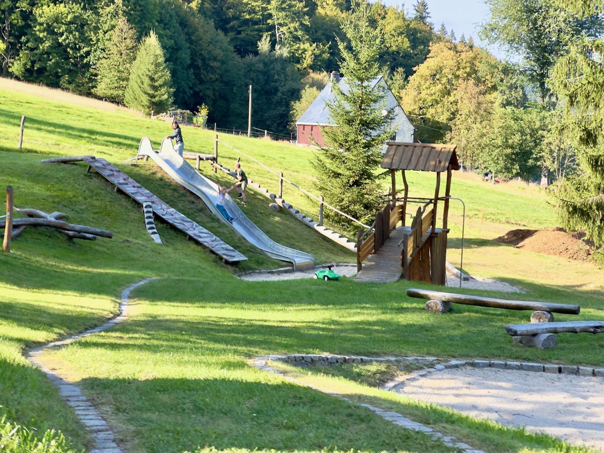 Altenberg Haus Donnerberg Rehefeld 아파트 외부 사진